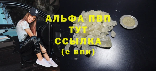 ECSTASY Вязьма
