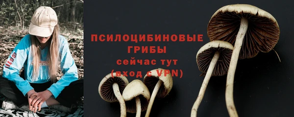 ECSTASY Вязьма