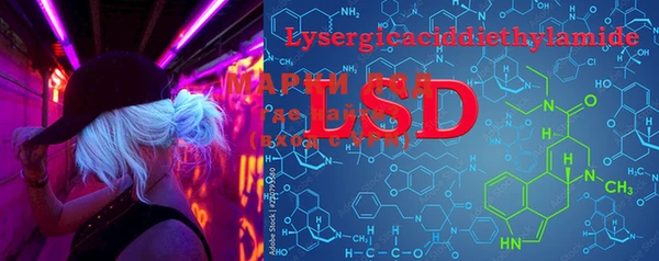 ECSTASY Вязьма