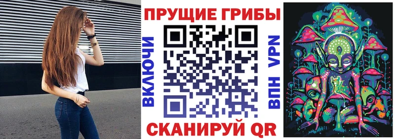 Псилоцибиновые грибы Magic Shrooms  Нестеровская 