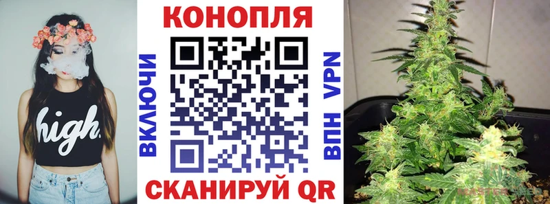 Бошки Шишки THC 21%  Нестеровская 